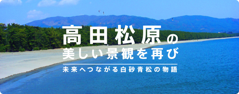 高田松原の美しい景観を再び　未来へつながる白砂青松の物語