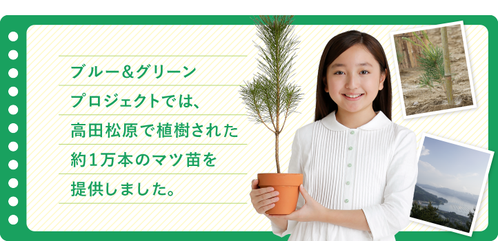 ブルー＆グリーンプロジェクトでは、高田松原で植樹されるやく万本のマツ苗を提供します。