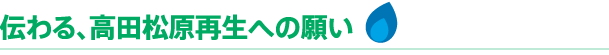 伝わる、高田松原再生への願い