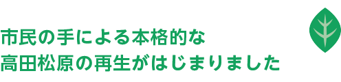 「高田松原」再生の取り組みが、いよいよ始まります
