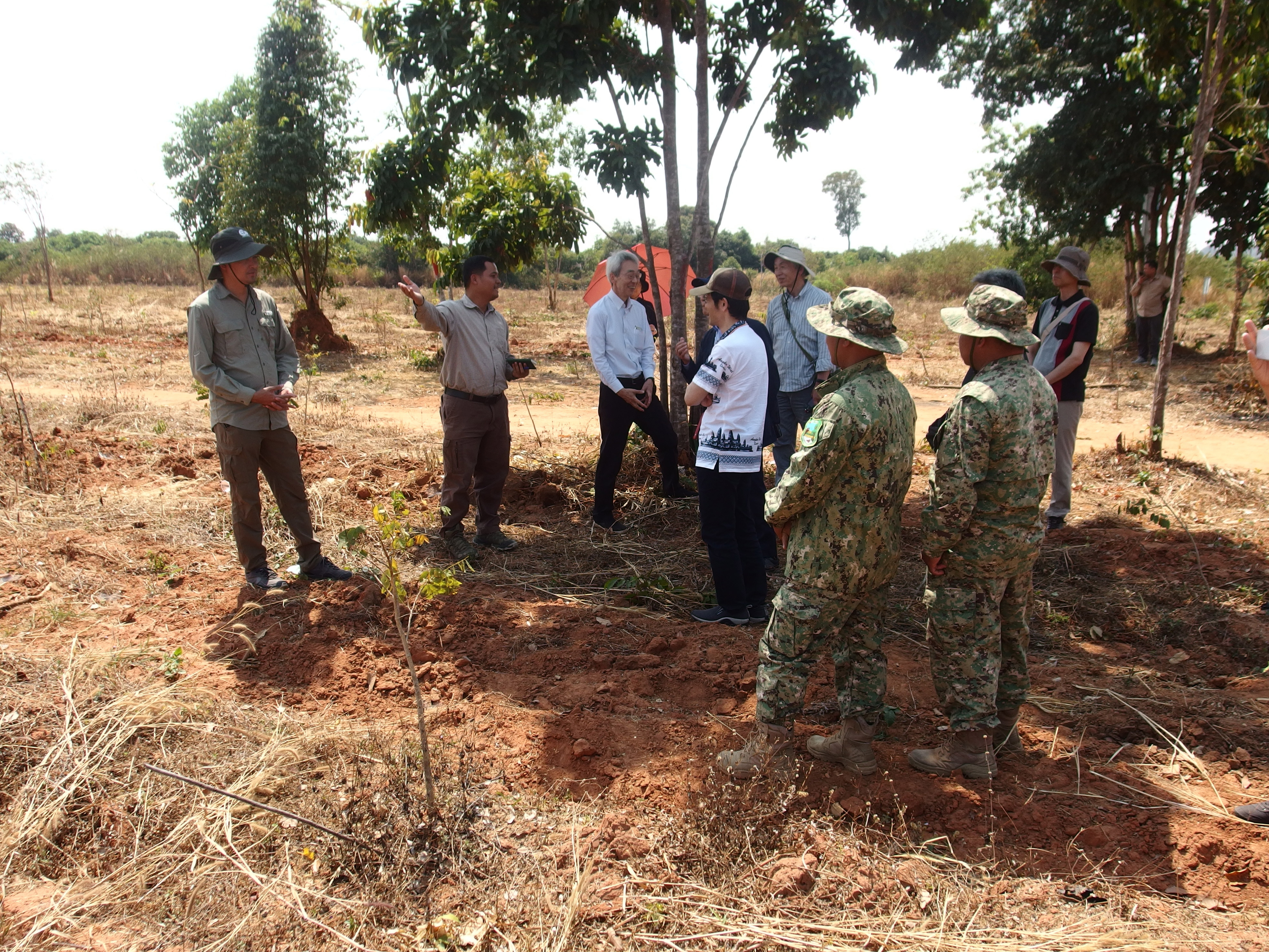 植樹活動の写真